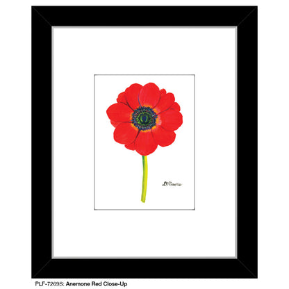 Anemone Red Close-Up, Print (#7269S)