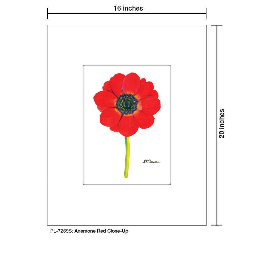 Anemone Red Close-Up, Print (#7269S) - Arte House