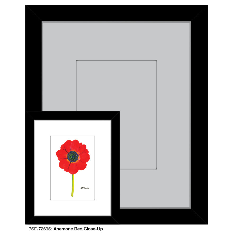 Anemone Red Close-Up, Print (#7269S) - Arte House