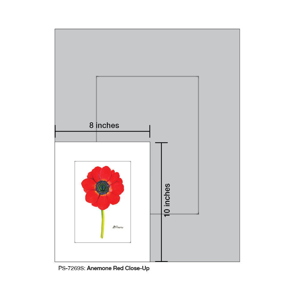 Anemone Red Close-Up, Print (#7269S) - Arte House