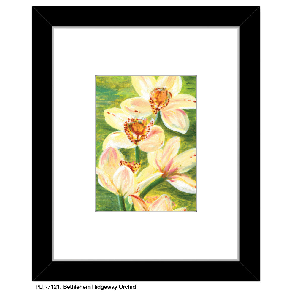 Bethlehem Ridgeway Orchid, Print (#7121C) - Arte House
