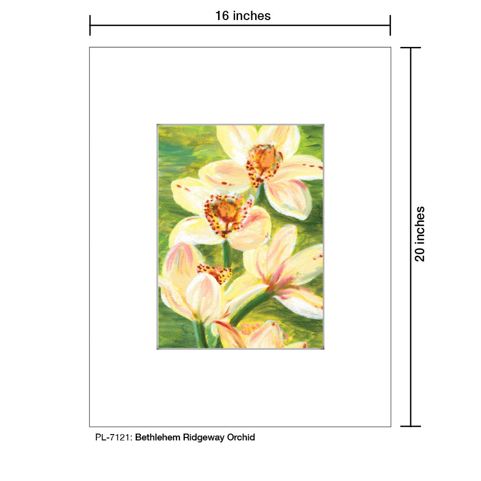 Bethlehem Ridgeway Orchid, Print (#7121C) - Arte House