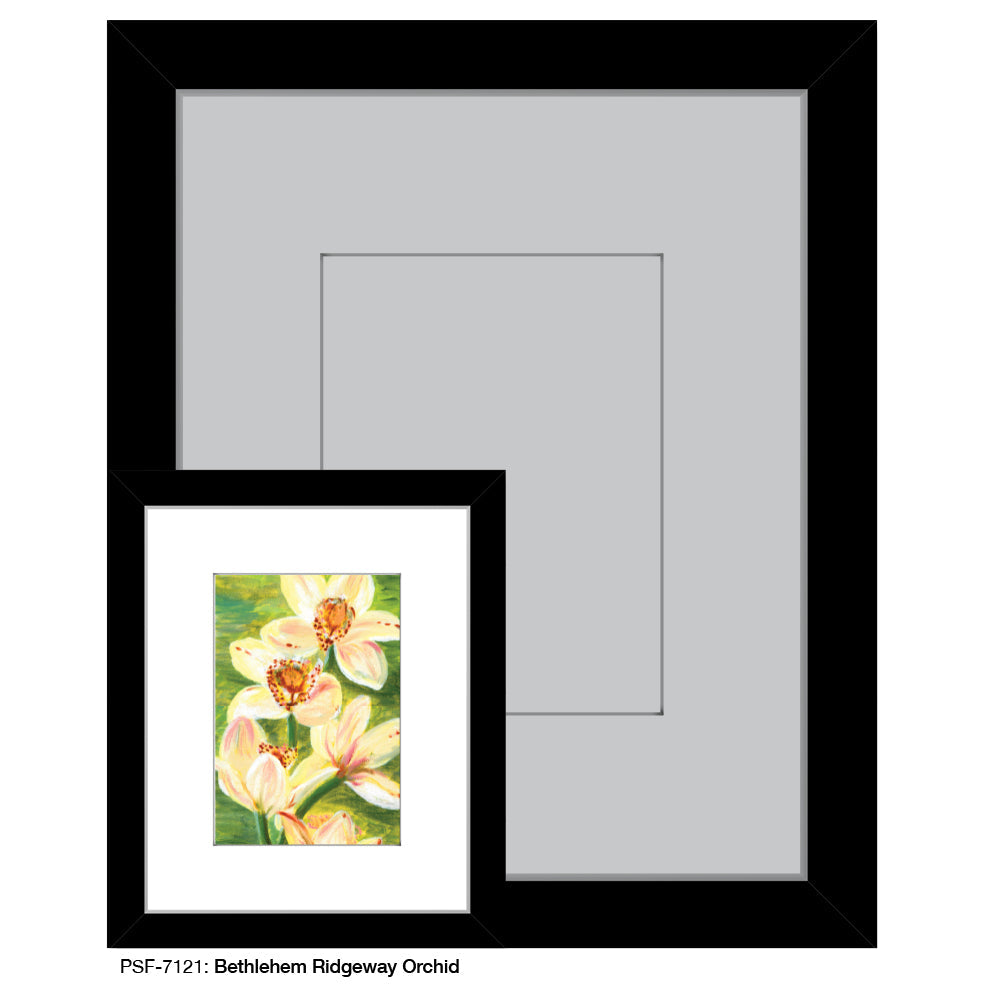 Bethlehem Ridgeway Orchid, Print (#7121C) - Arte House
