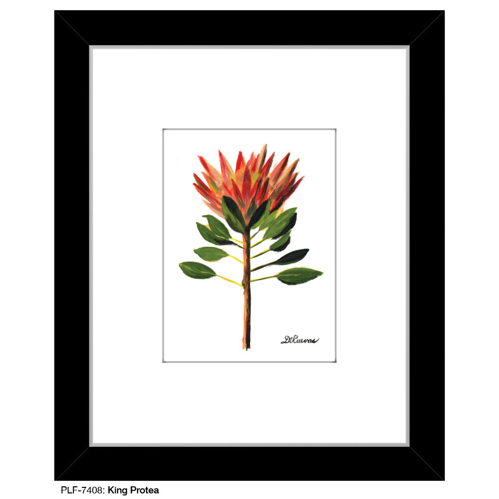 King Protea, Print (#7408A) - Arte House