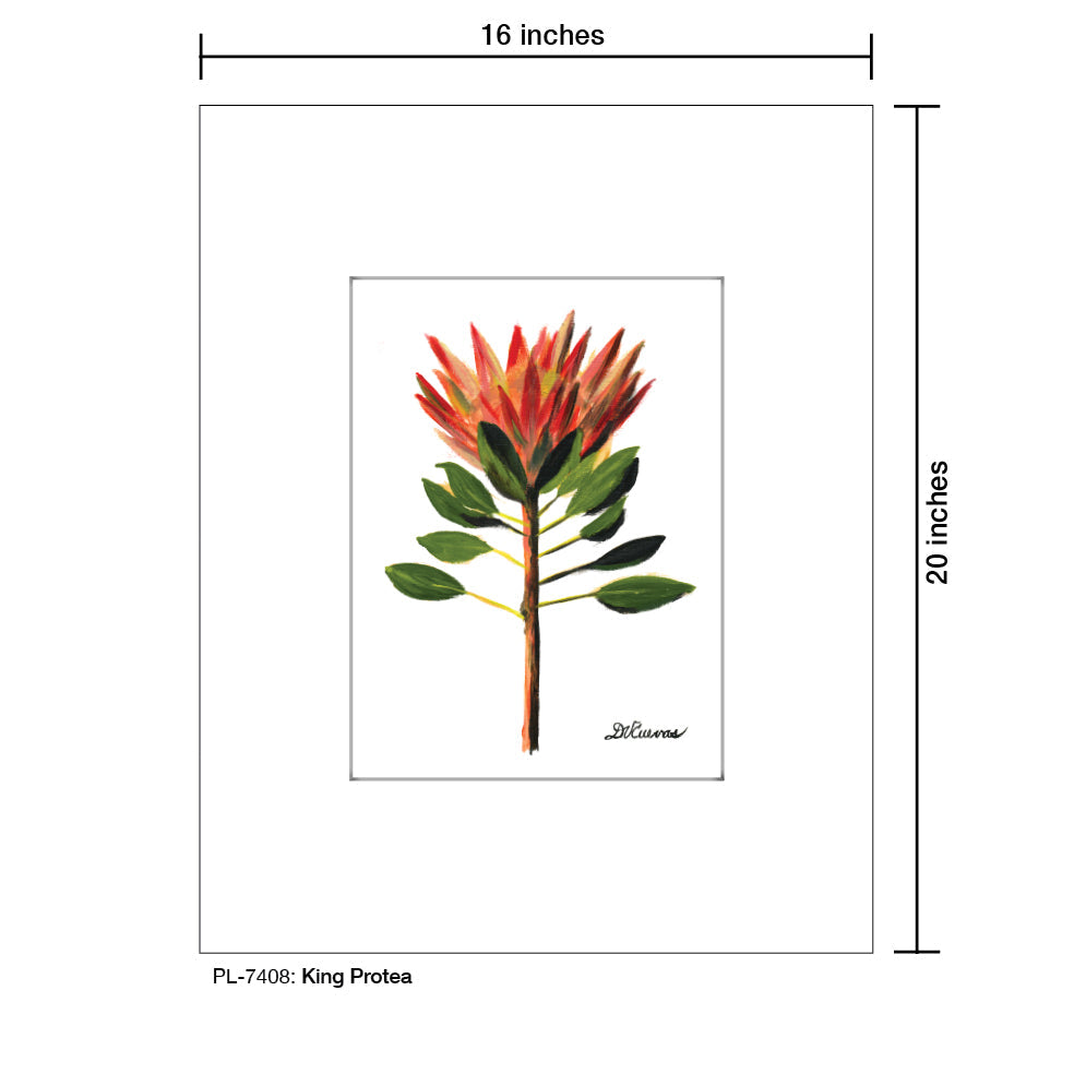 King Protea, Print (#7408A) - Arte House