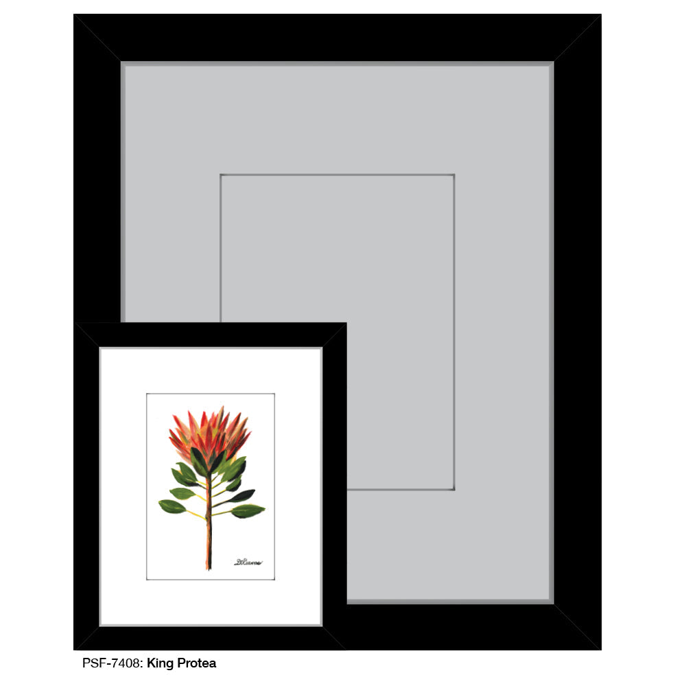 King Protea, Print (#7408A) - Arte House