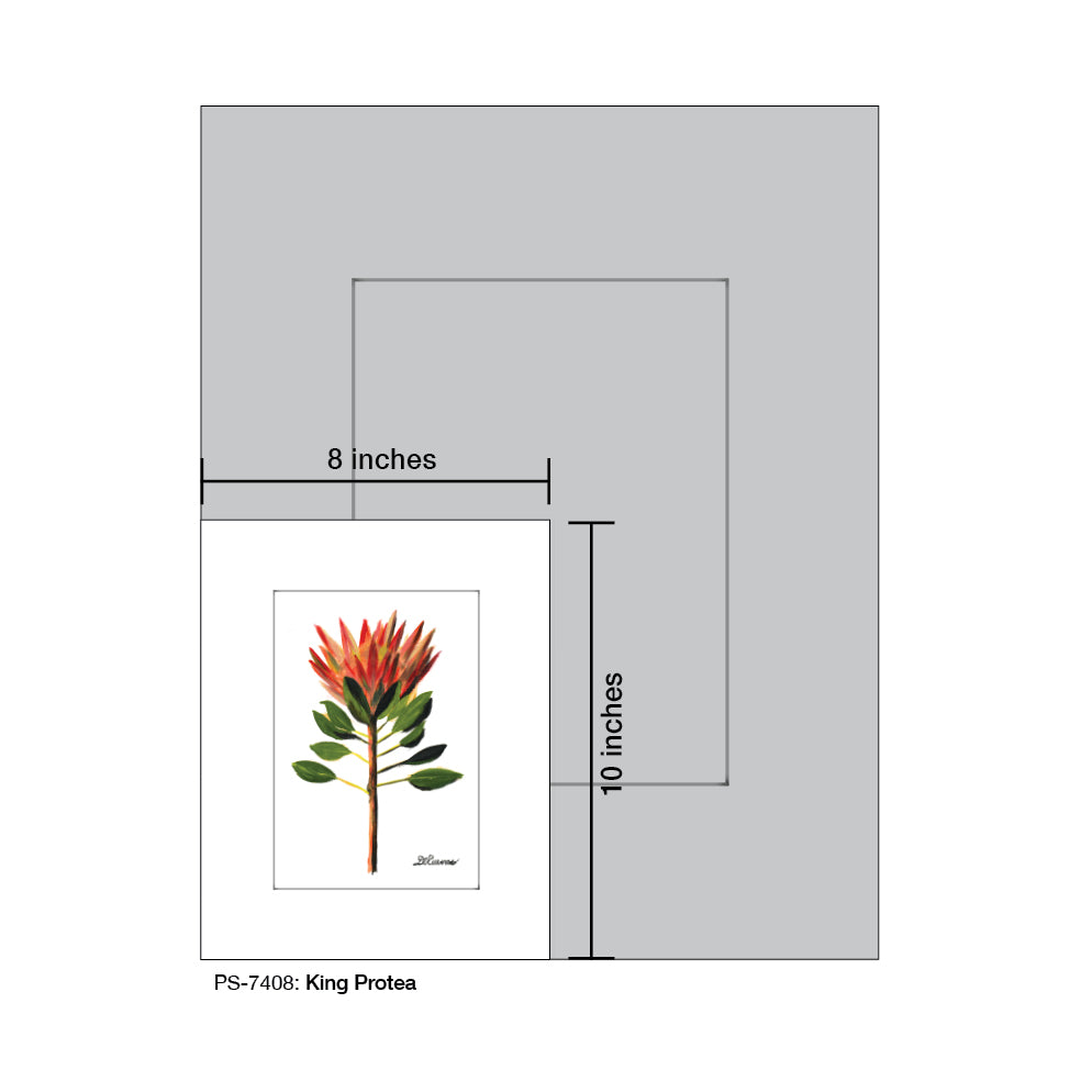 King Protea, Print (#7408A) - Arte House