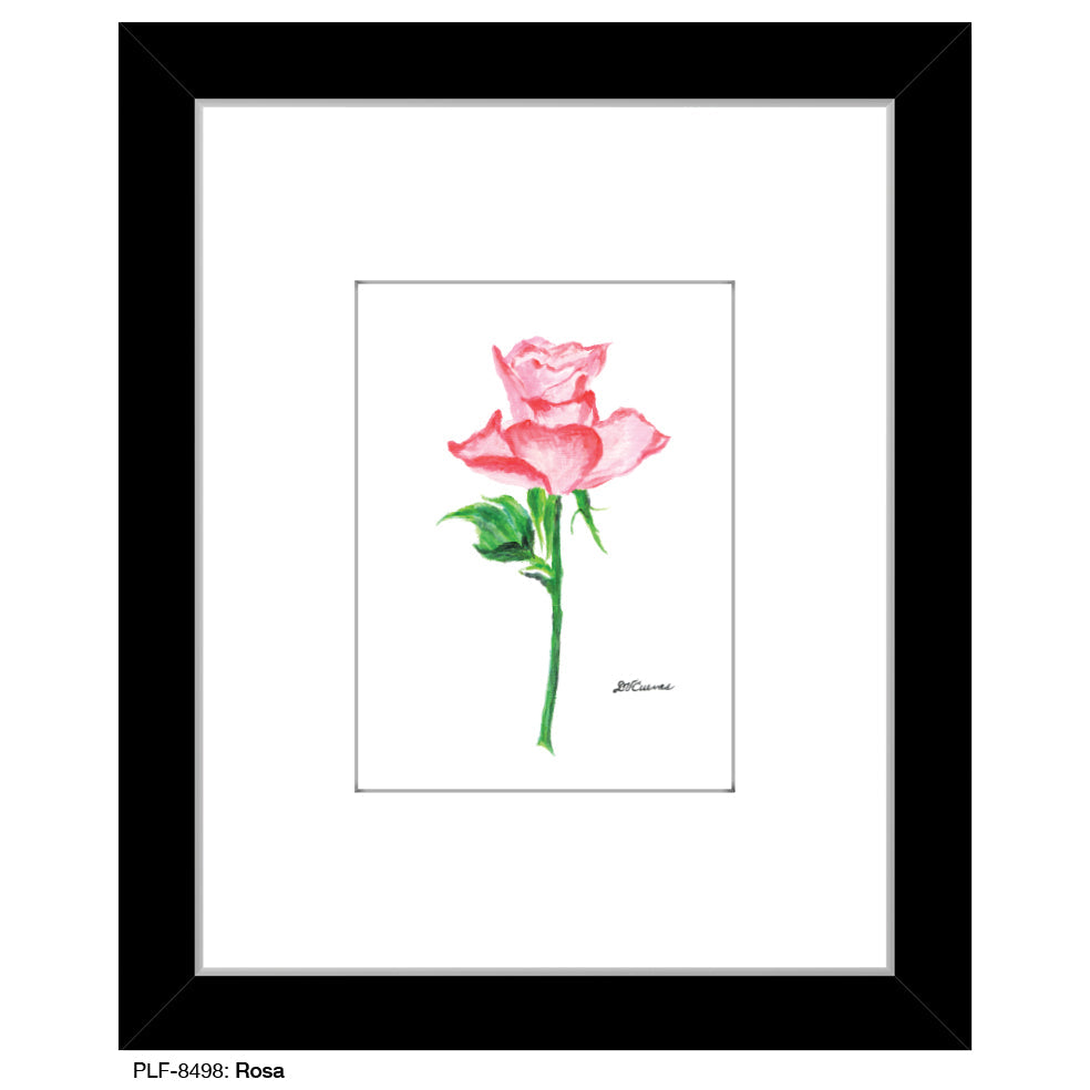Rosa, Print (#8498B) - Arte House