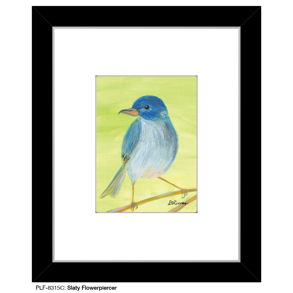 Slaty Flowerpiercer, Print (#8315C) - Arte House