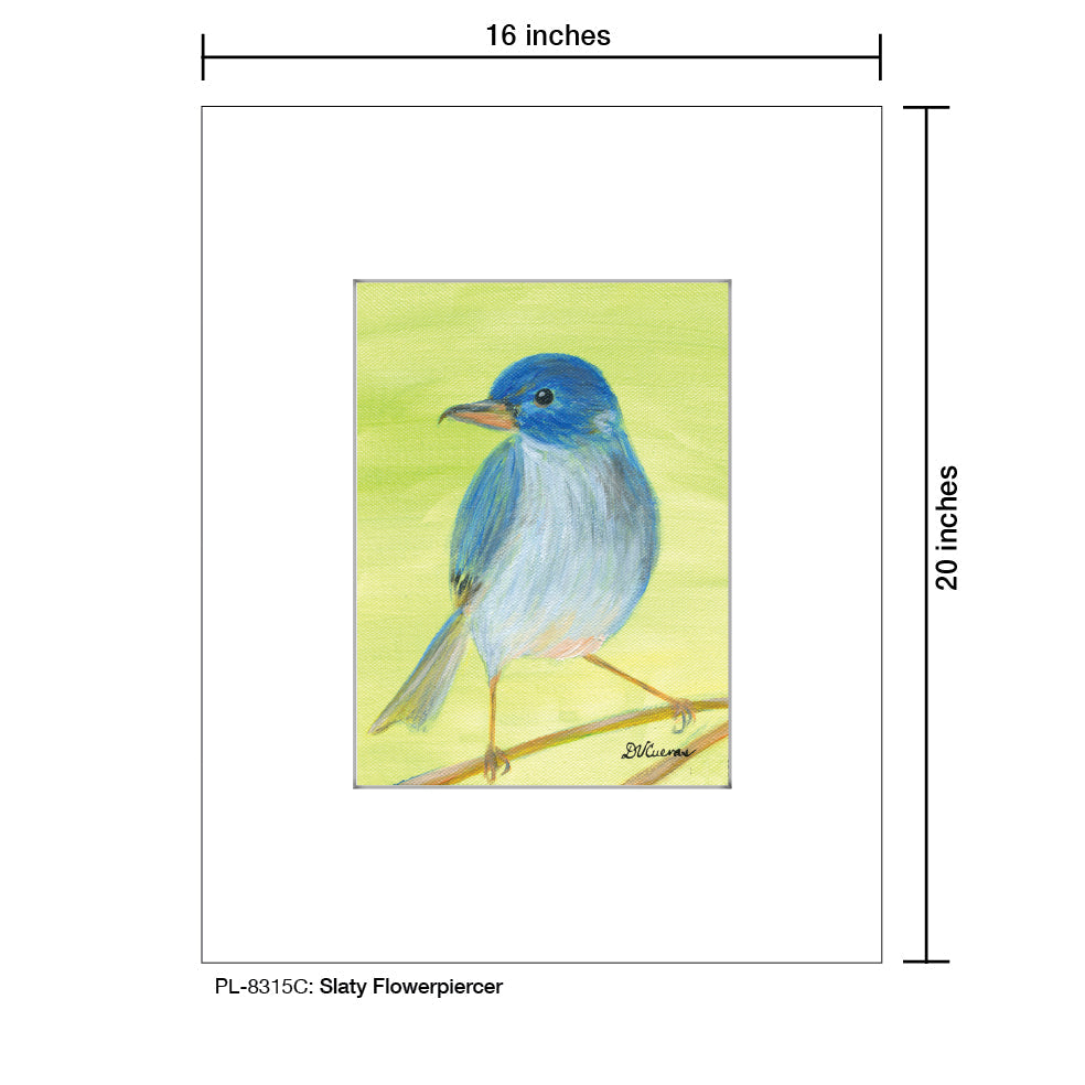 Slaty Flowerpiercer, Print (#8315C) - Arte House