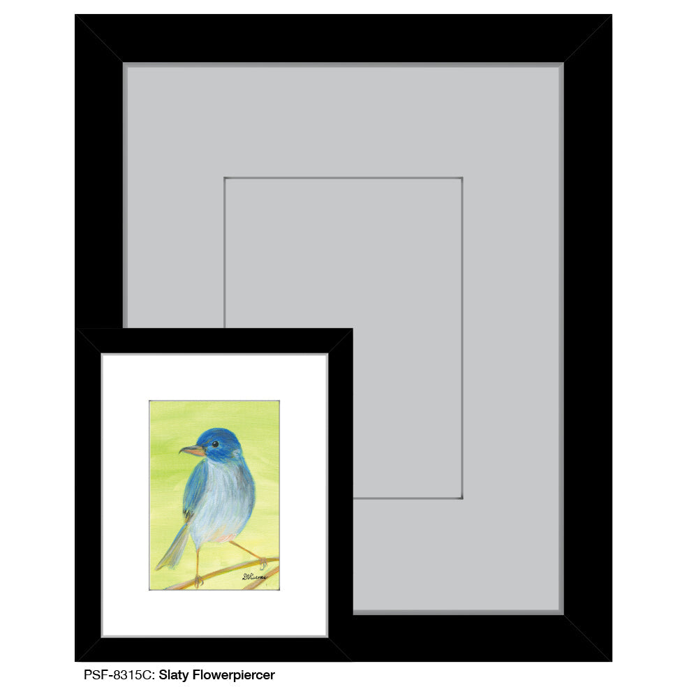 Slaty Flowerpiercer, Print (#8315C) - Arte House