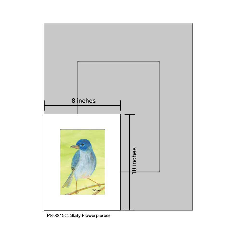 Slaty Flowerpiercer, Print (#8315C) - Arte House