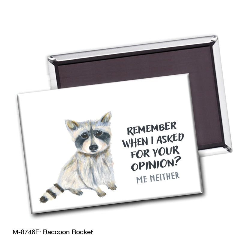 Raccoon Rocket, Magnet (M-8746E) - Arte House