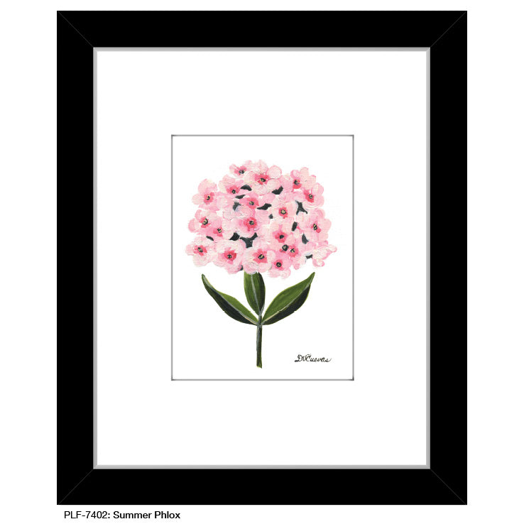 Summer Phlox, Print (#7402A) - Arte House
