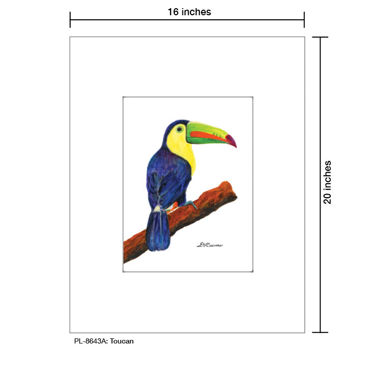 Toucan, Print (#8643C) - Arte House