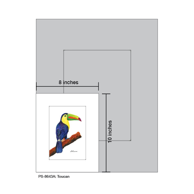 Toucan, Print (#8643C) - Arte House