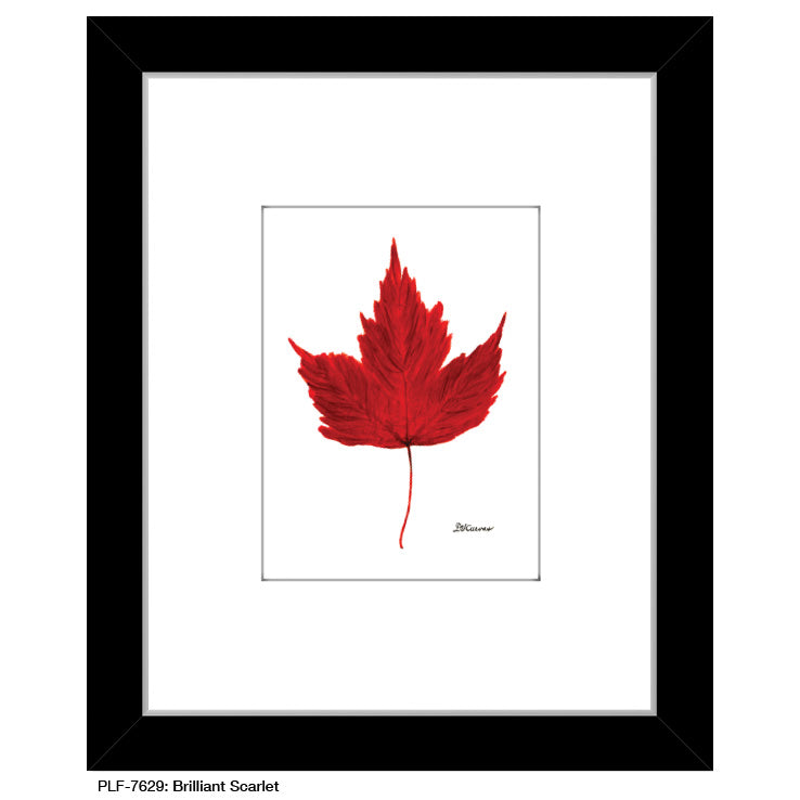 Brilliant Scarlet, Print (#7629A) - Arte House