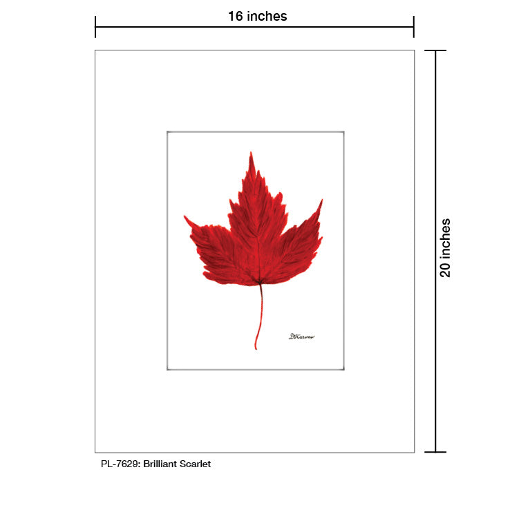Brilliant Scarlet, Print (#7629A) - Arte House