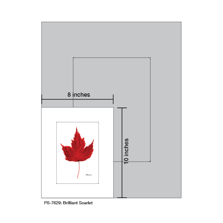 Brilliant Scarlet, Print (#7629A) - Arte House