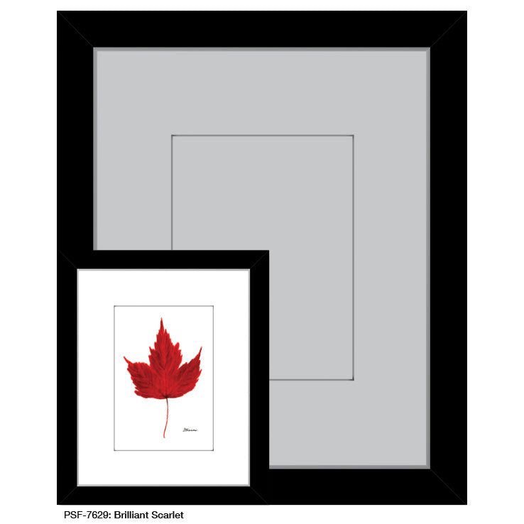 Brilliant Scarlet, Print (#7629A) - Arte House
