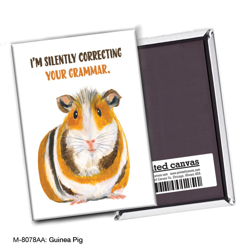Guinea Pig, Magnet (M-8078AA) - Arte House