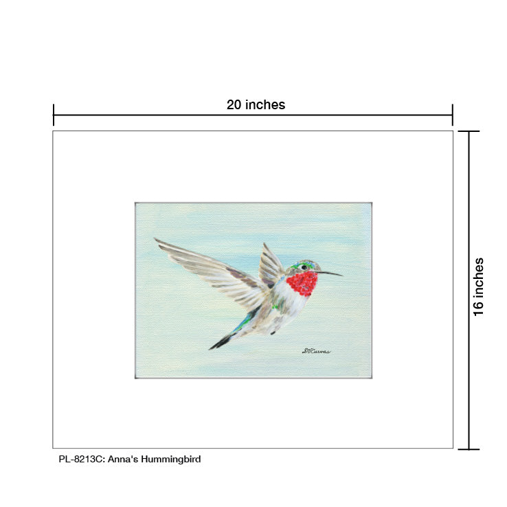 Anna's Hummingbird, Print (#8213C) - Arte House