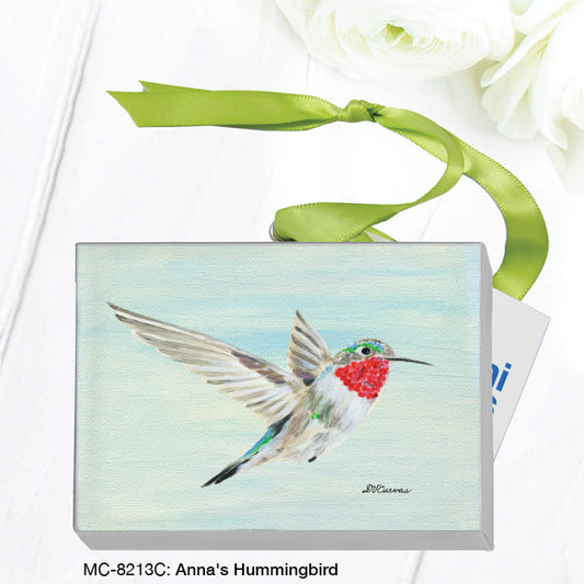 Anna's Hummingbird, Mini Canvas (MC-8213C)