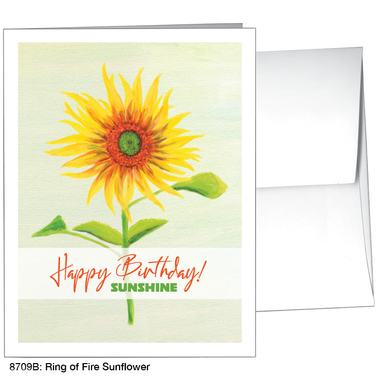 Ring of Fire Sunflower, Greeting Card (8709B)
