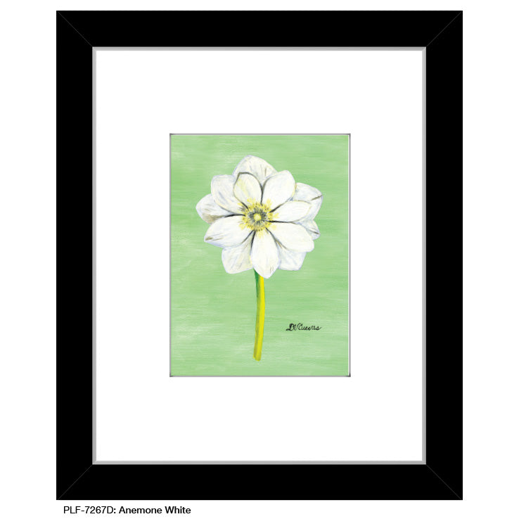 Anemone White, Print (#7267D) - Arte House