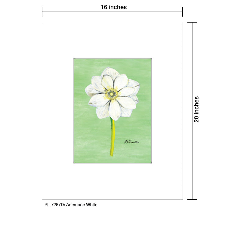 Anemone White, Print (#7267D) - Arte House