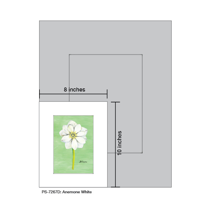 Anemone White, Print (#7267D) - Arte House