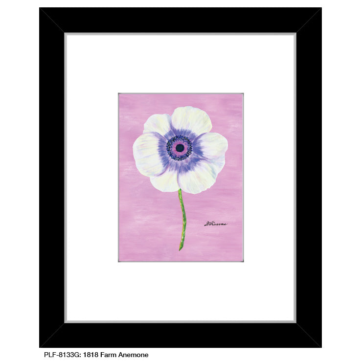 1818 Farm Anemone, Print (#8133G) - Arte House