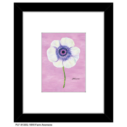 1818 Farm Anemone, Print (#8133G)