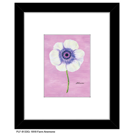 1818 Farm Anemone, Print (#8133G)