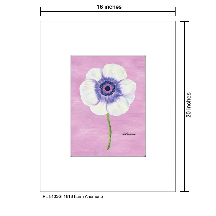 1818 Farm Anemone, Print (#8133G) - Arte House
