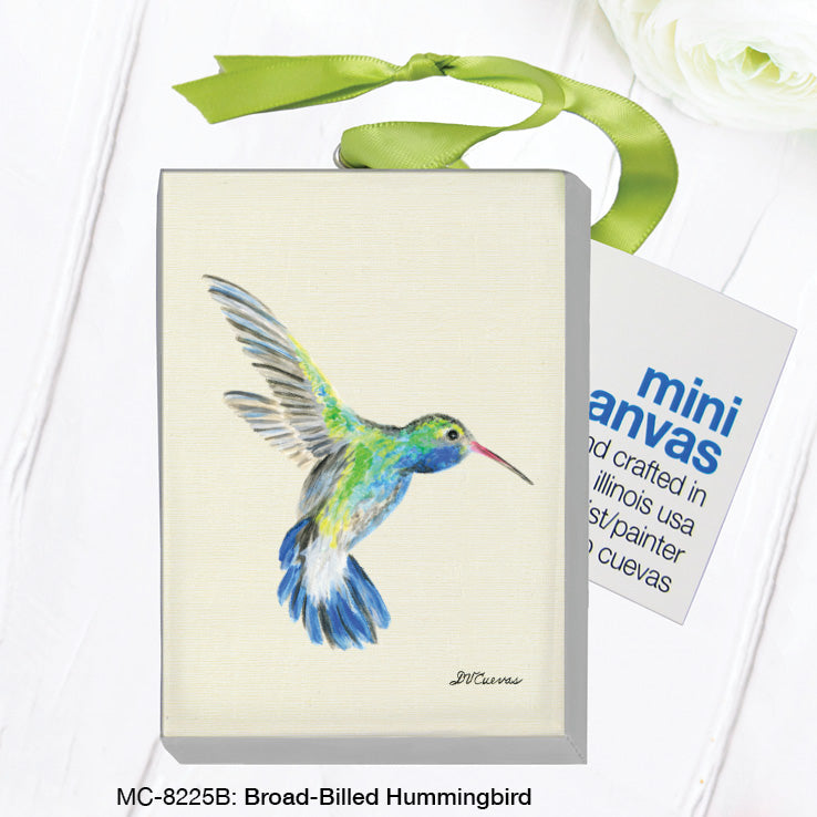 Broad-Billed Hummingbird, Mini Canvas (MC-8225B) - Arte House