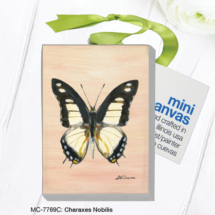 Charaxes Nobilis, Mini Canvas (MC-7769C) - Arte House