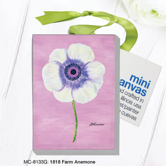1818 Farm Anemone, Mini Canvas (MC-8133G)