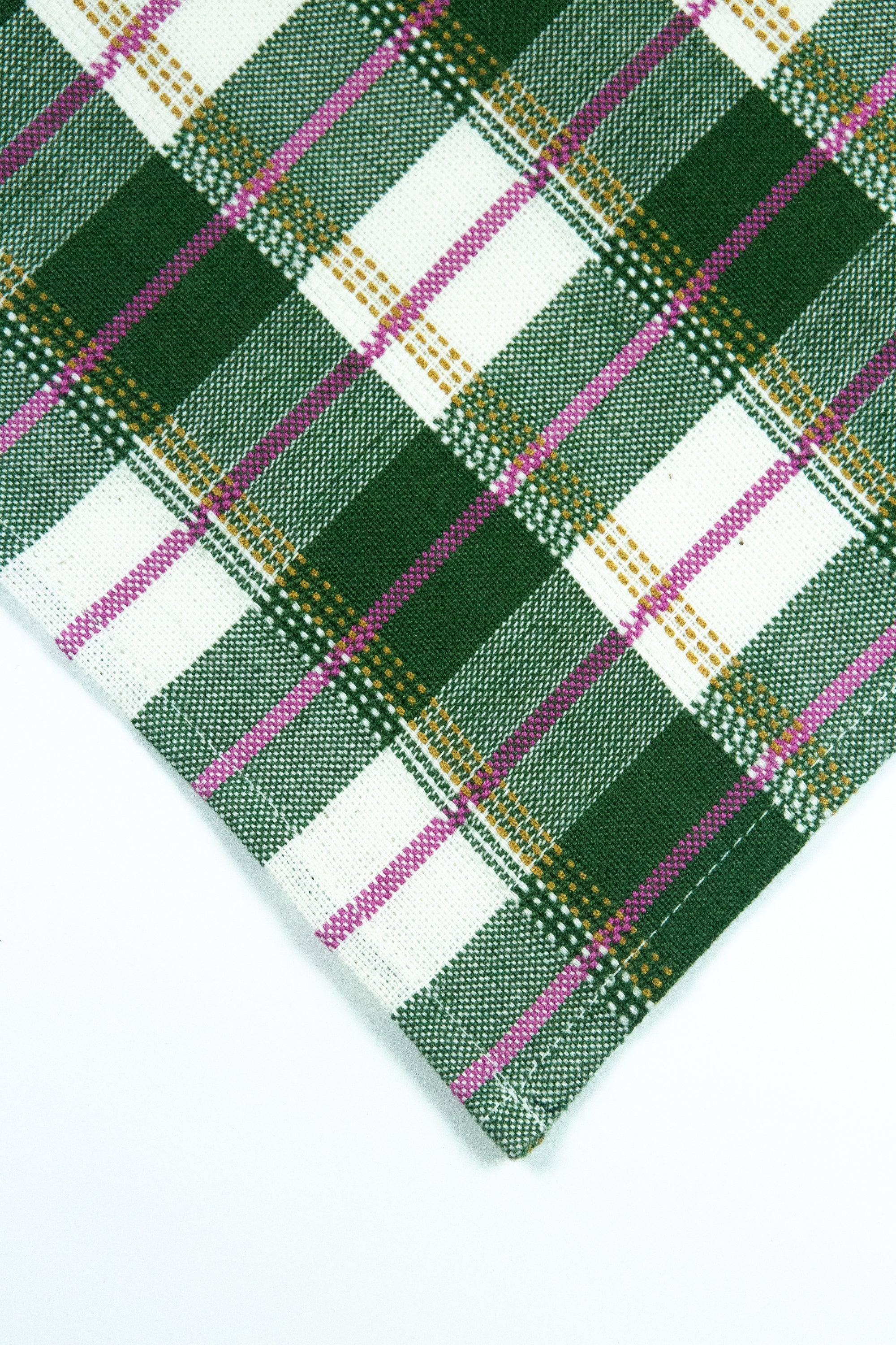 San Andres Gingham Forest & Ivory Placemat - Arte House