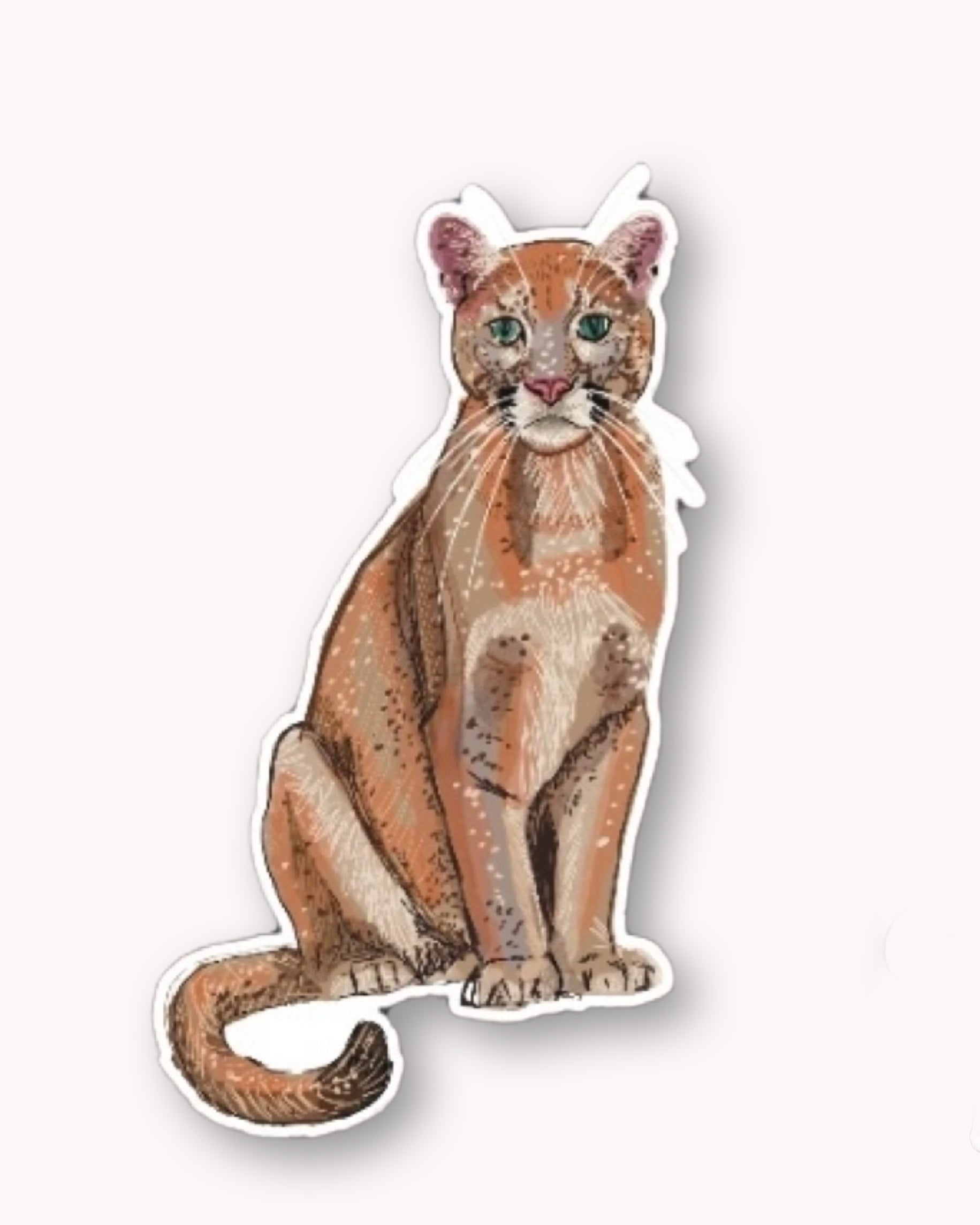 Cougar Sticker
