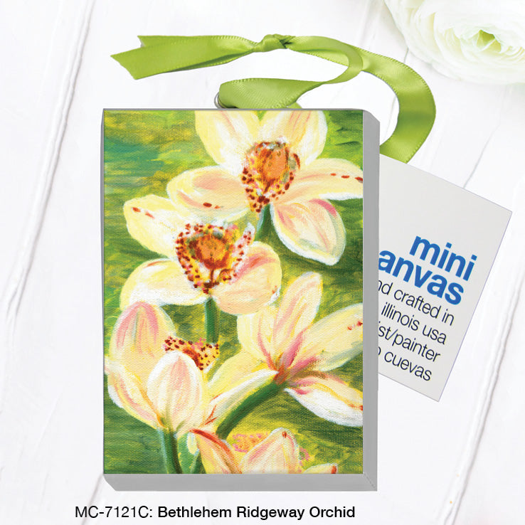Bethlehem Ridgeway Orchid, Mini Canvas (MC-7121C) - Arte House