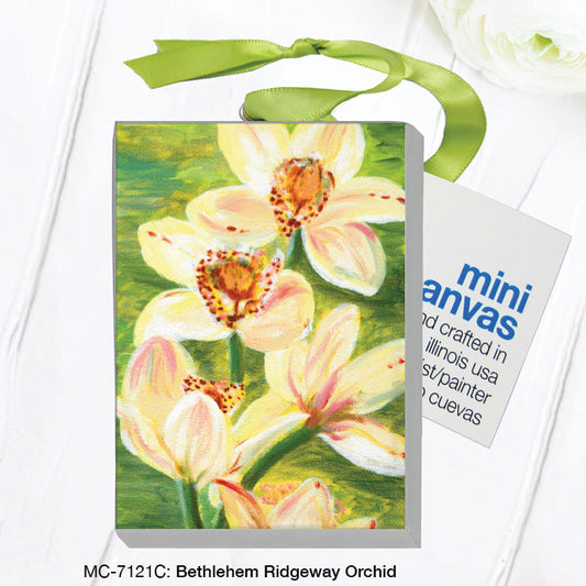 Bethlehem Ridgeway Orchid, Mini Canvas (MC-7121C)