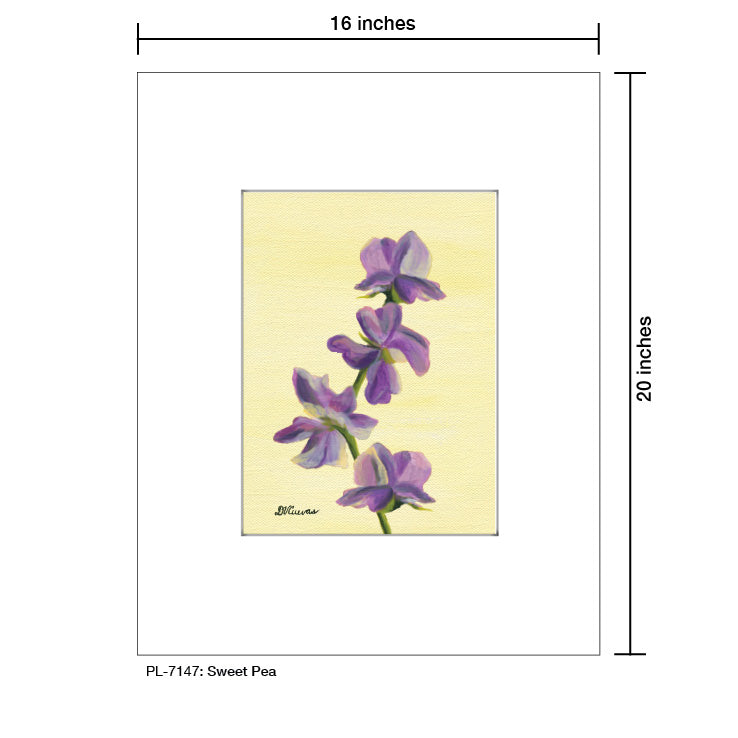 Sweet Pea, Print (#7147A) - Arte House