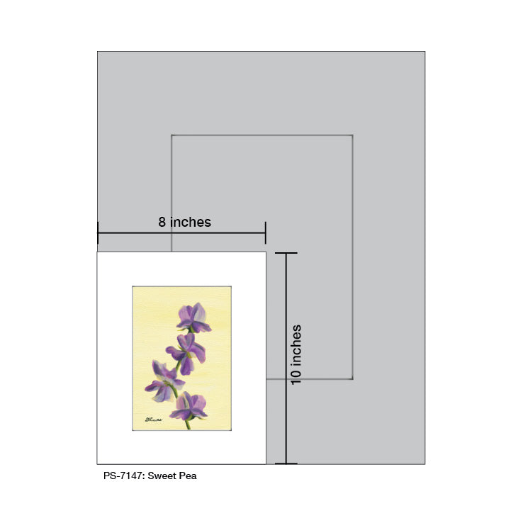 Sweet Pea, Print (#7147A) - Arte House