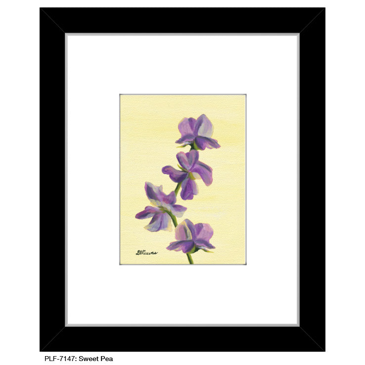 Sweet Pea, Print (#7147A) - Arte House