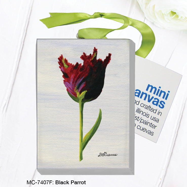 Black Parrot, Mini Canvas (MC-7407F) - Arte House