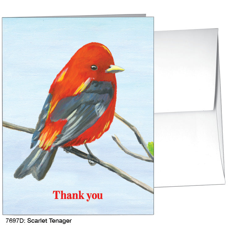 Scarlet Tenager, Greeting Card (7697D) - Arte House