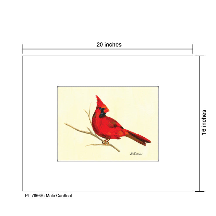 Male Cardinal, Print (#7866B) - Arte House