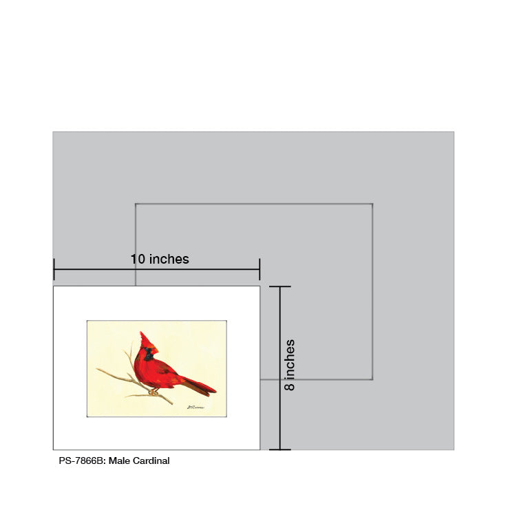 Male Cardinal, Print (#7866B) - Arte House