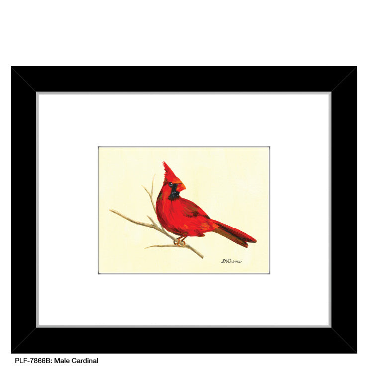 Male Cardinal, Print (#7866B) - Arte House